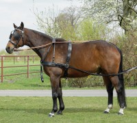 POSTROJ POPRSNÍ DVOJSPŘEŽÍ KOMPLET LUXORY MARATHON